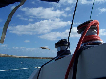 140CARAIBI 2009 176 - Copia (2)