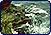 Leoni marini (Otaria baronia) e kelp (Macrocystis pirifera) a Weddell